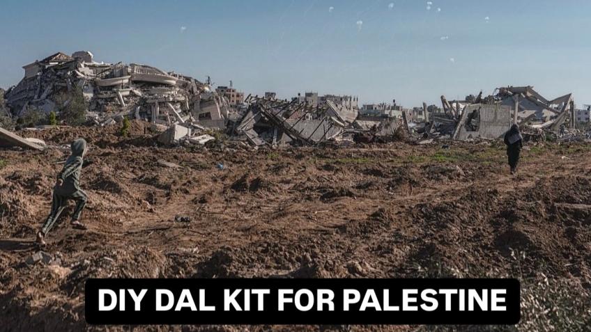 DIY DAL KIT FOR PALESTINE