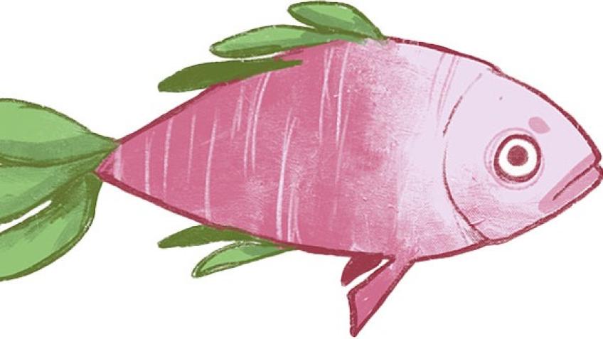 Turnip Fish Theatre Company