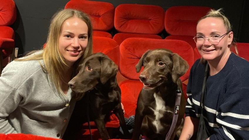 Win a private cinema experience (dog friendly!)
