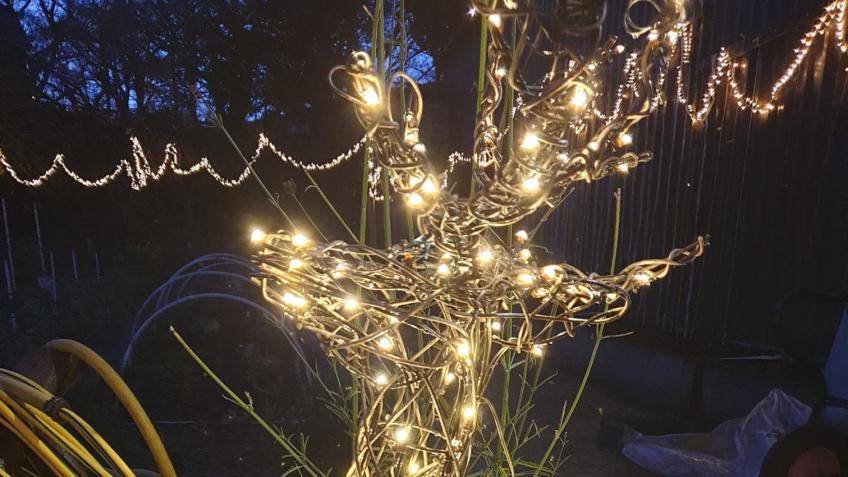 Switch On Our Christmas Lights & Farm Shop Voucher
