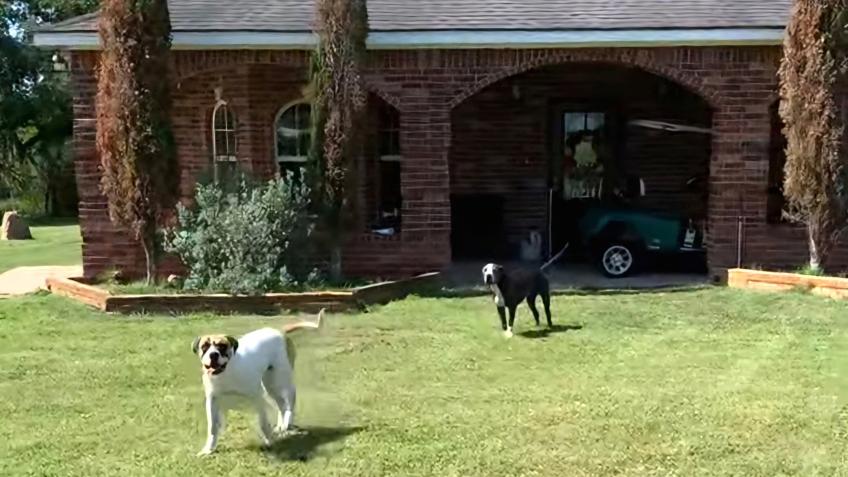 Memorial for Tammy - recently lost her sweet boys