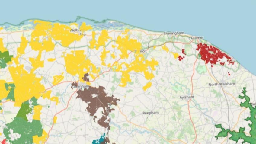 Margins, hedgerows, ponds: nature's travel network