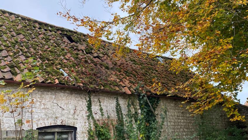 Help Restore a Historic British Barn to Its Former