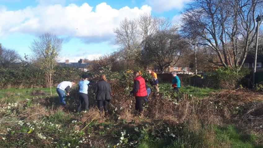 Rooted Together: A Rewilding Communities Project