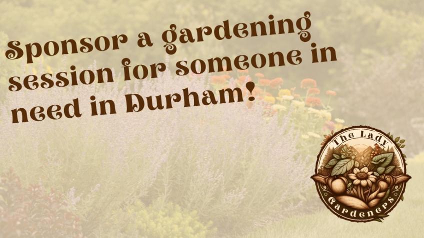 The Lady Gardener's Christmas Campaign Durham