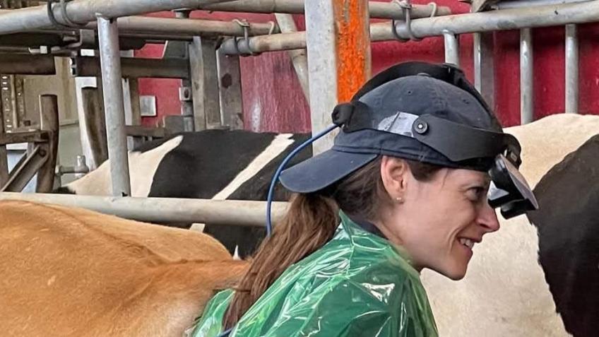 Liv's Livestock Services
