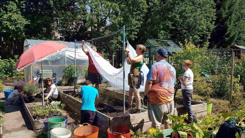 Albert Avenue Community Allotment