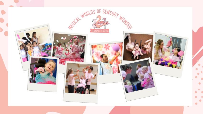 Annabelle's Flamingo Chicks Disney fundraiser