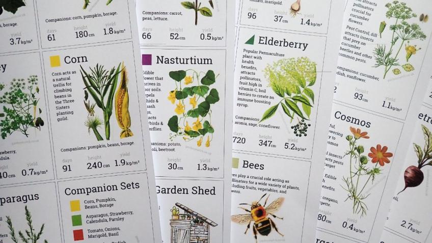 Garden Match Cards Printing