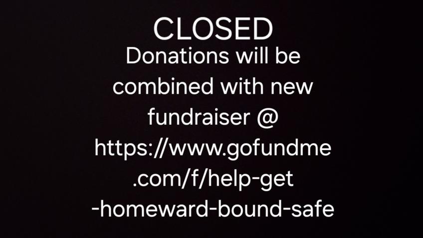 80+ rescued dogs will be homeless - Please save us