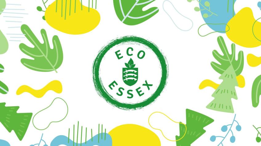 Eco Essex, Rehome, Reuse, Repurpose