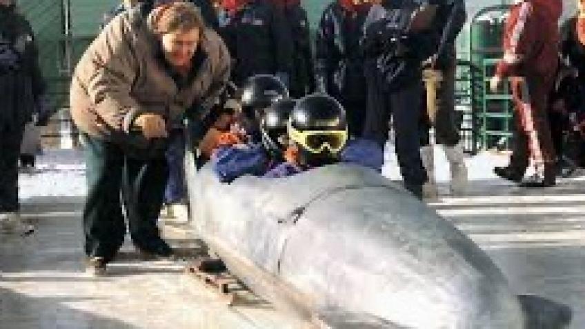 Cool Runnings 4 Project Play