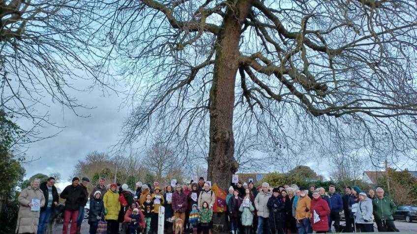 Save Wivenhoe's Old King George Oak tree