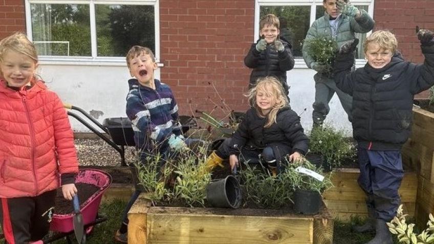 Howard Primary Seeds, Tools & Equipment for Growth