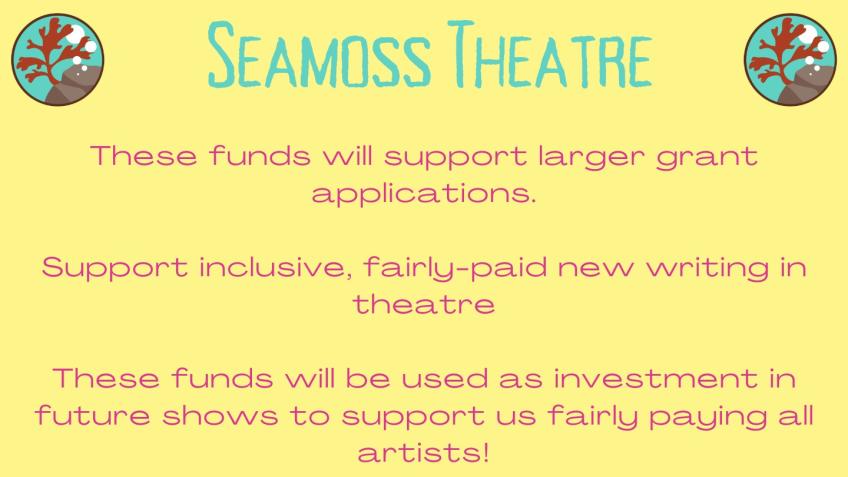 Seamoss Theatre's Launch - Trans Abortion Play