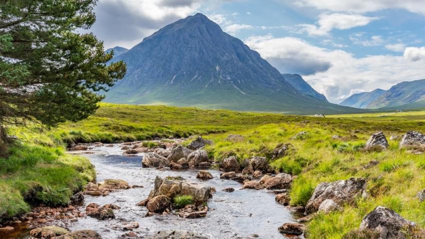 Fisheries Management Scotland Runs Wild for Salmon