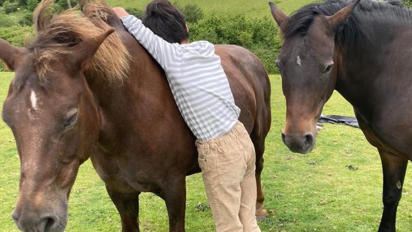 Therapy in nature with horses