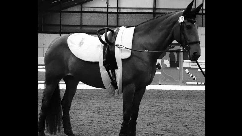 Funding for National Competitions
