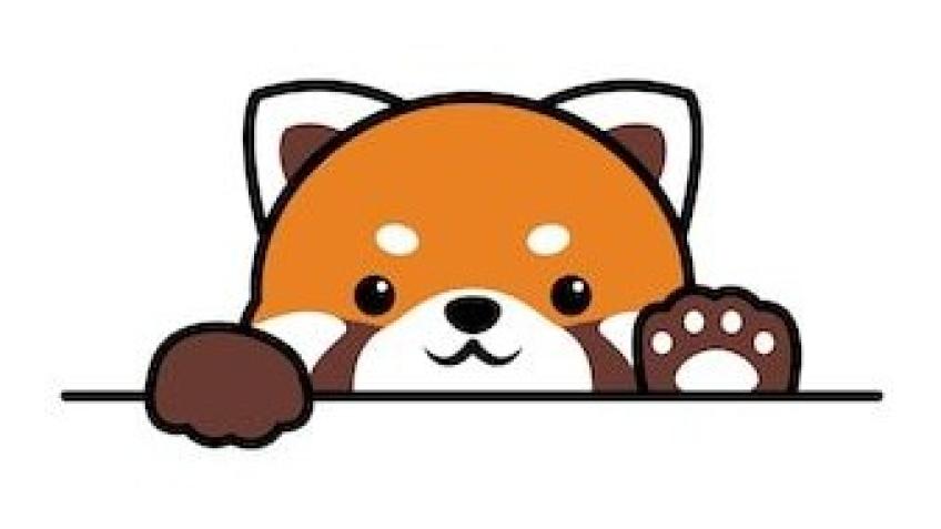 Kawii cuteness health and wellbeing app