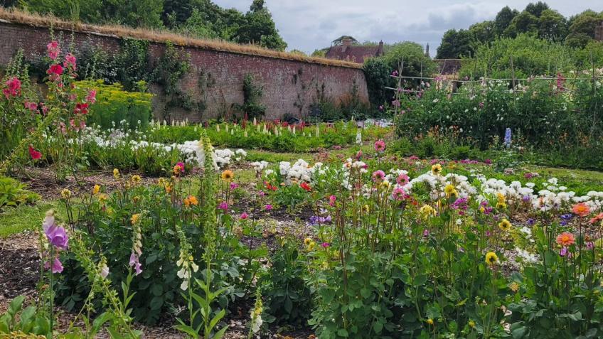 Ella's Flower farm