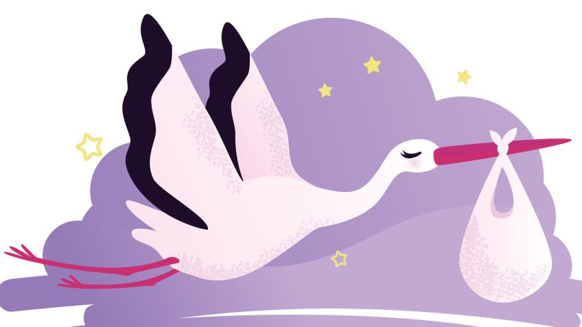 Little Storks Baby Bank, Lancing and Worthing.