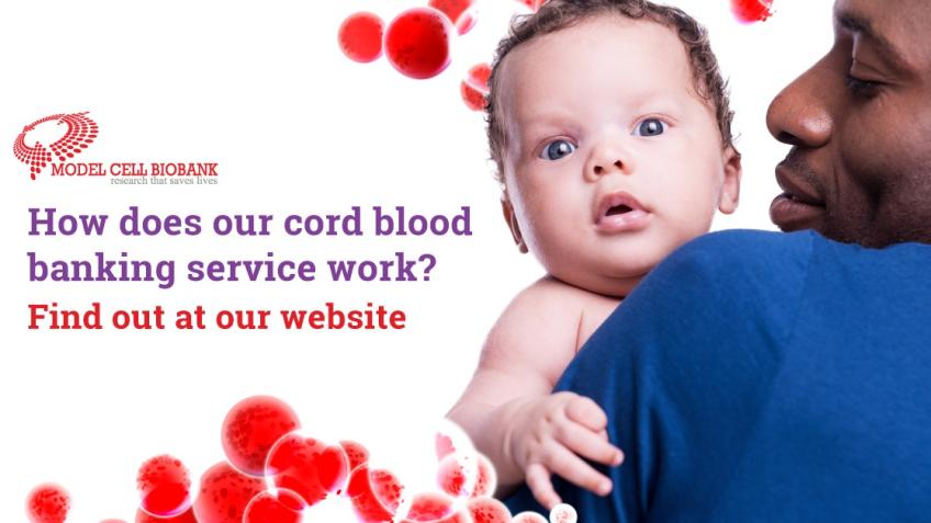 Saving Lives through Stem cells