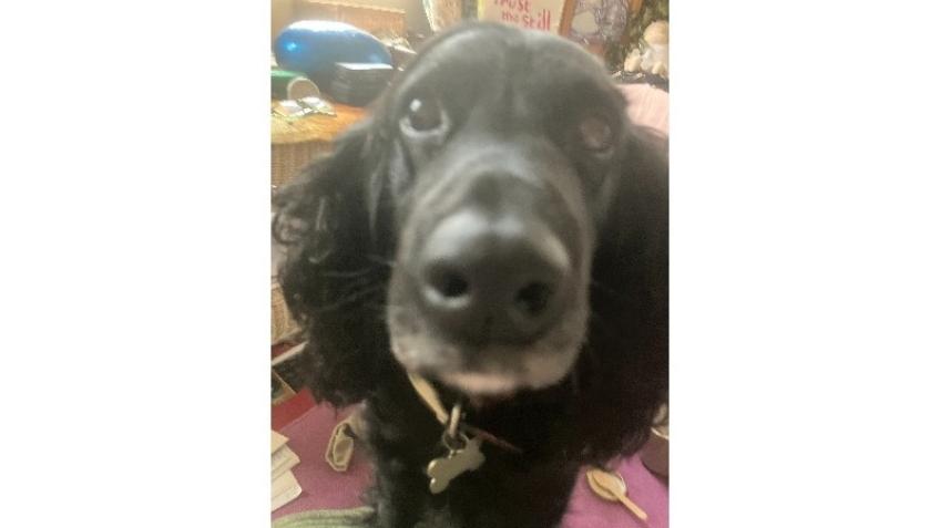 Bay's cancer treatment