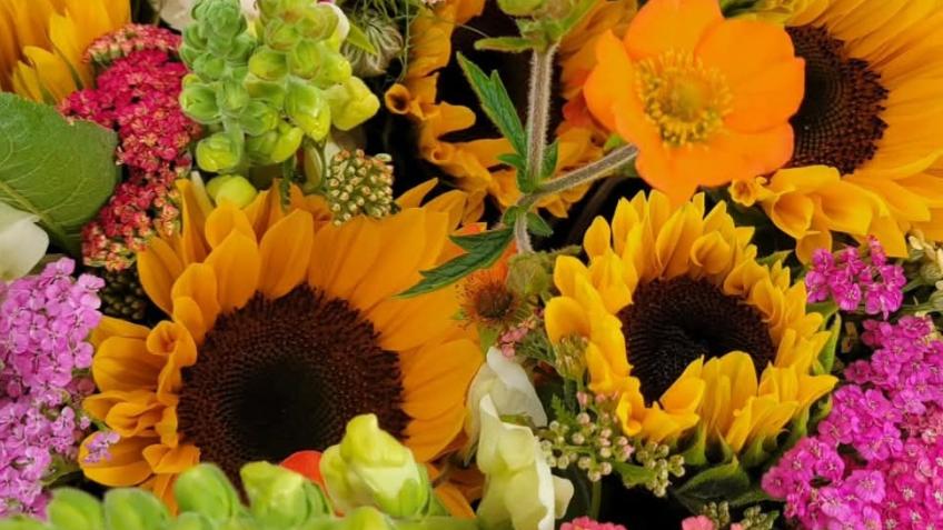 Prize draw - Ella's Flower Farm PYO party!