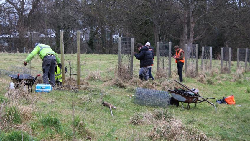 The Backhouse Park Composting Collective