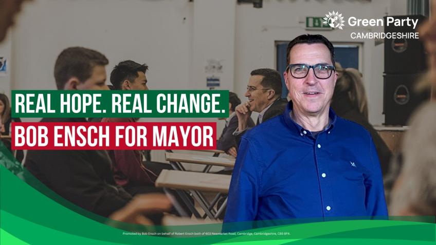 Get Greens on the ballot