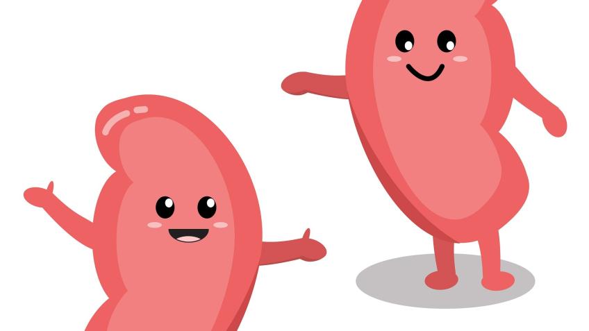 Support Liverpool Kidney Patients Association!