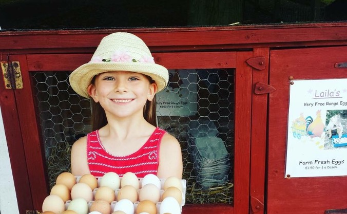 Laila's Eggs