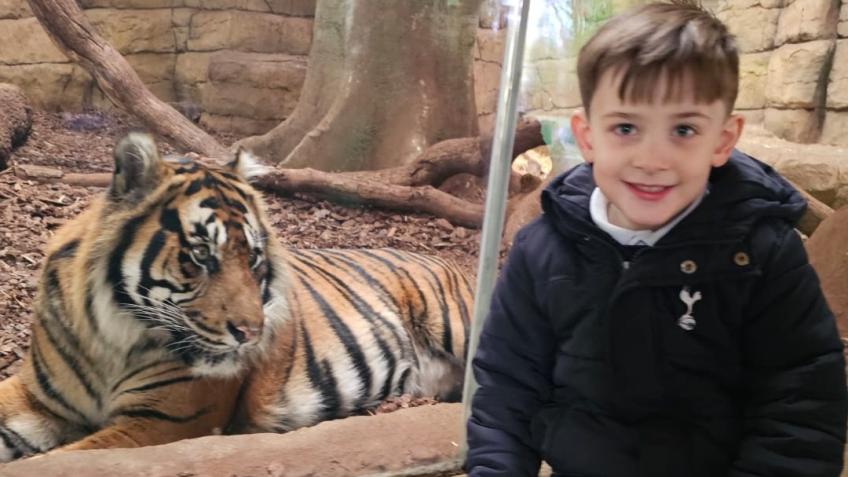 Assistance dog for my son
