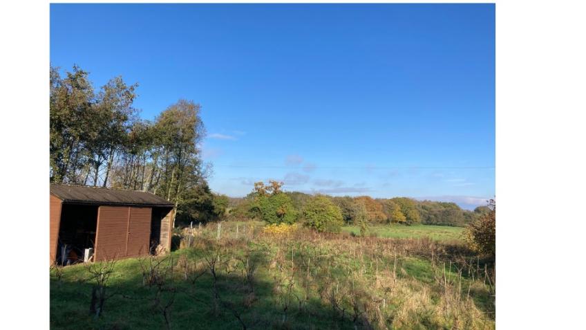 Replace the barn-owl barn roof