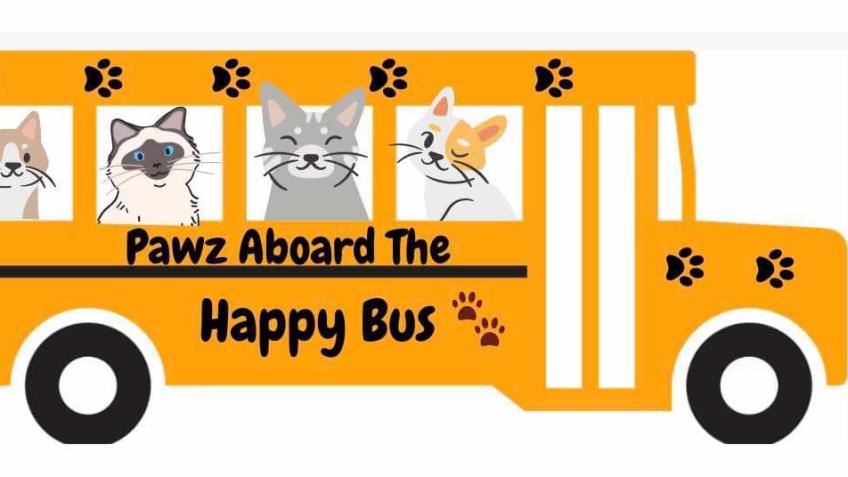 Katkinz Happy Bus