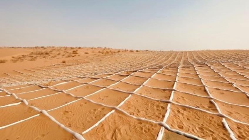 Join Me in the Fight Against the Desert