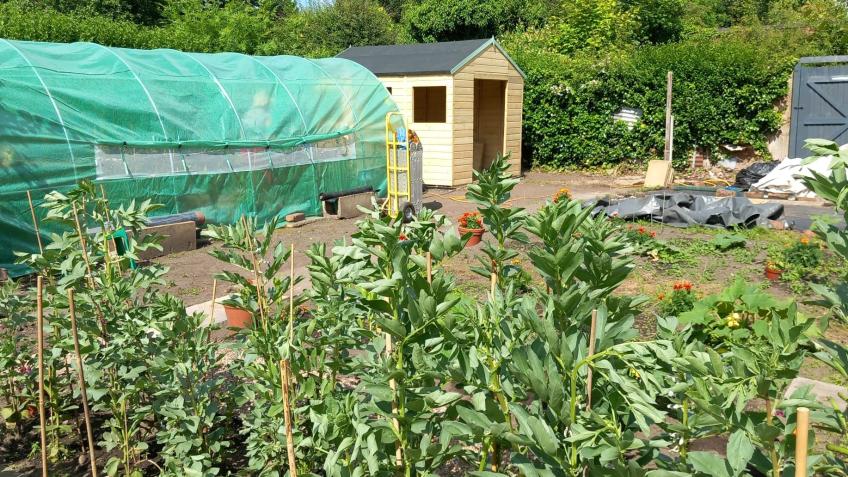 The Ark Community Garden Project
