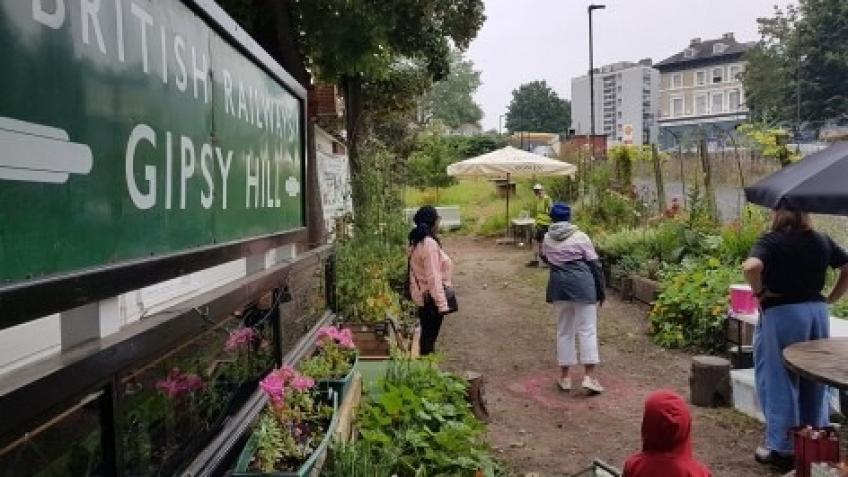 Petanque at Gipsy Hill