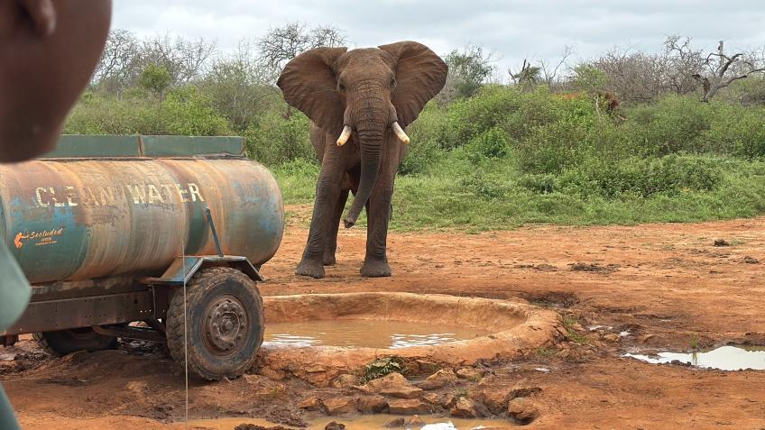 Win a safari to Kenya with Wild Paths