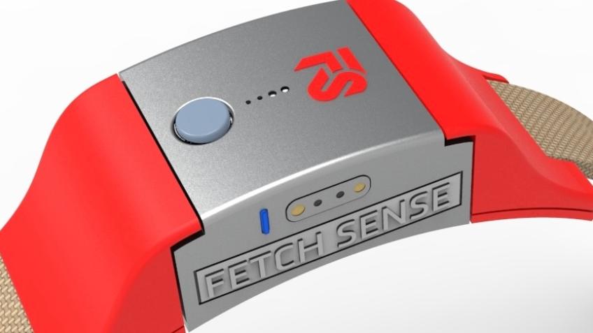 FetchSense: Know Your Dog Like Never Before