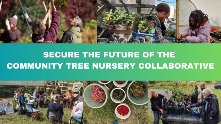 Support the Community Tree Nursery Collaborative