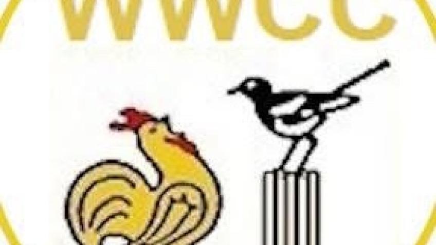 Local cricket club seeking investment