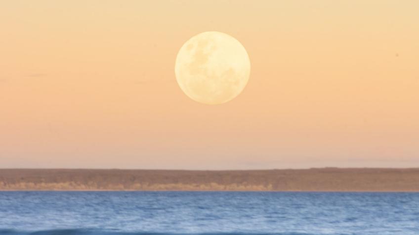 While The Moon Is On The Sea - Student Film