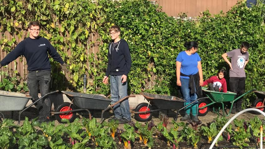 Aldermoor Community Farm Volunteer Program