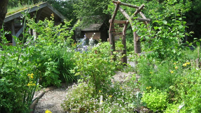 Fruit Trees to create an Edible Forest Garden