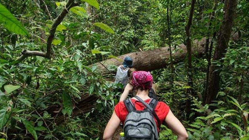 Borneo Outlook Expedition Summer 2025