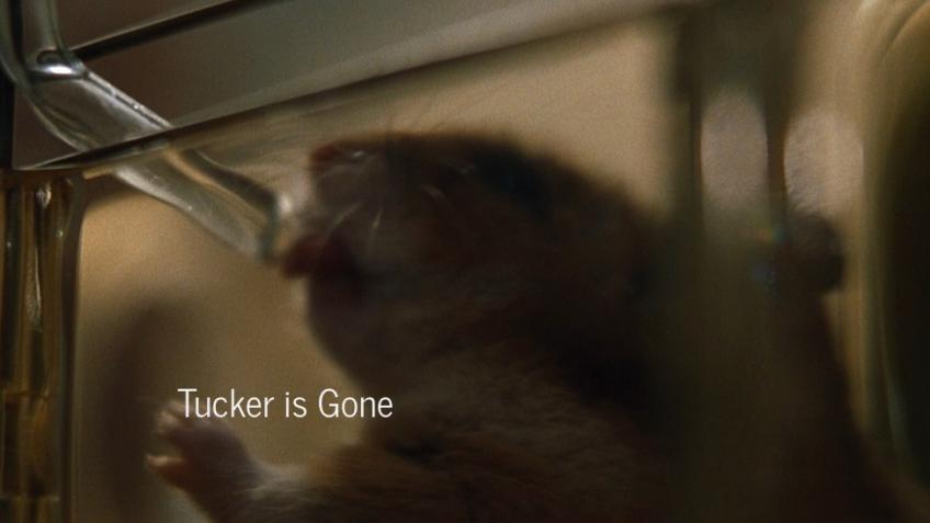 Tucker is Gone