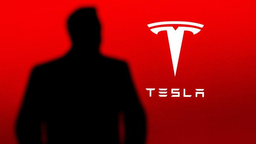 We Love Elon Musk and Tesla