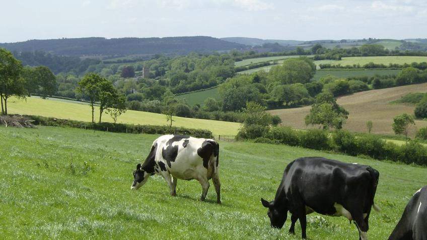 Parish peace & tranquillity