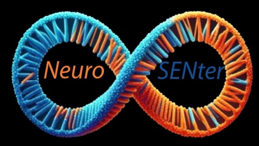 NeuroSENter: A Safe Space For Neurodiversity